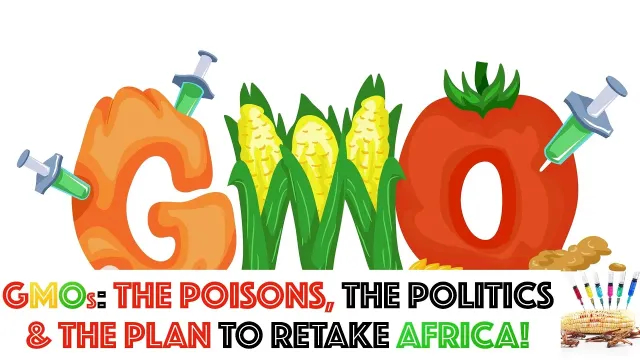 GMOs: The Poisons, The Politics & The Plan To RETAKE Africa.