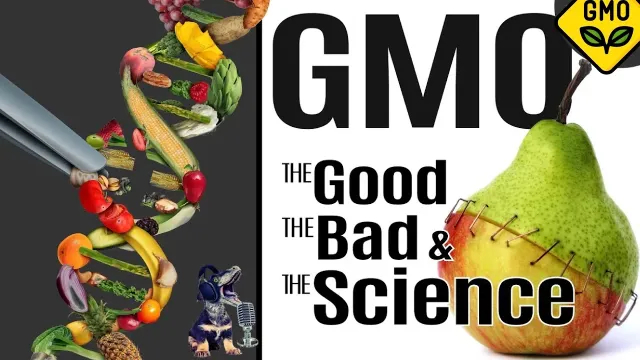 GMO: The Good, The Bad & The Science
