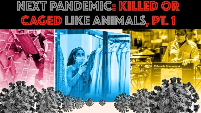 NEXT PANDEMIC: Killed OR Caged Like Animals, PT. 1